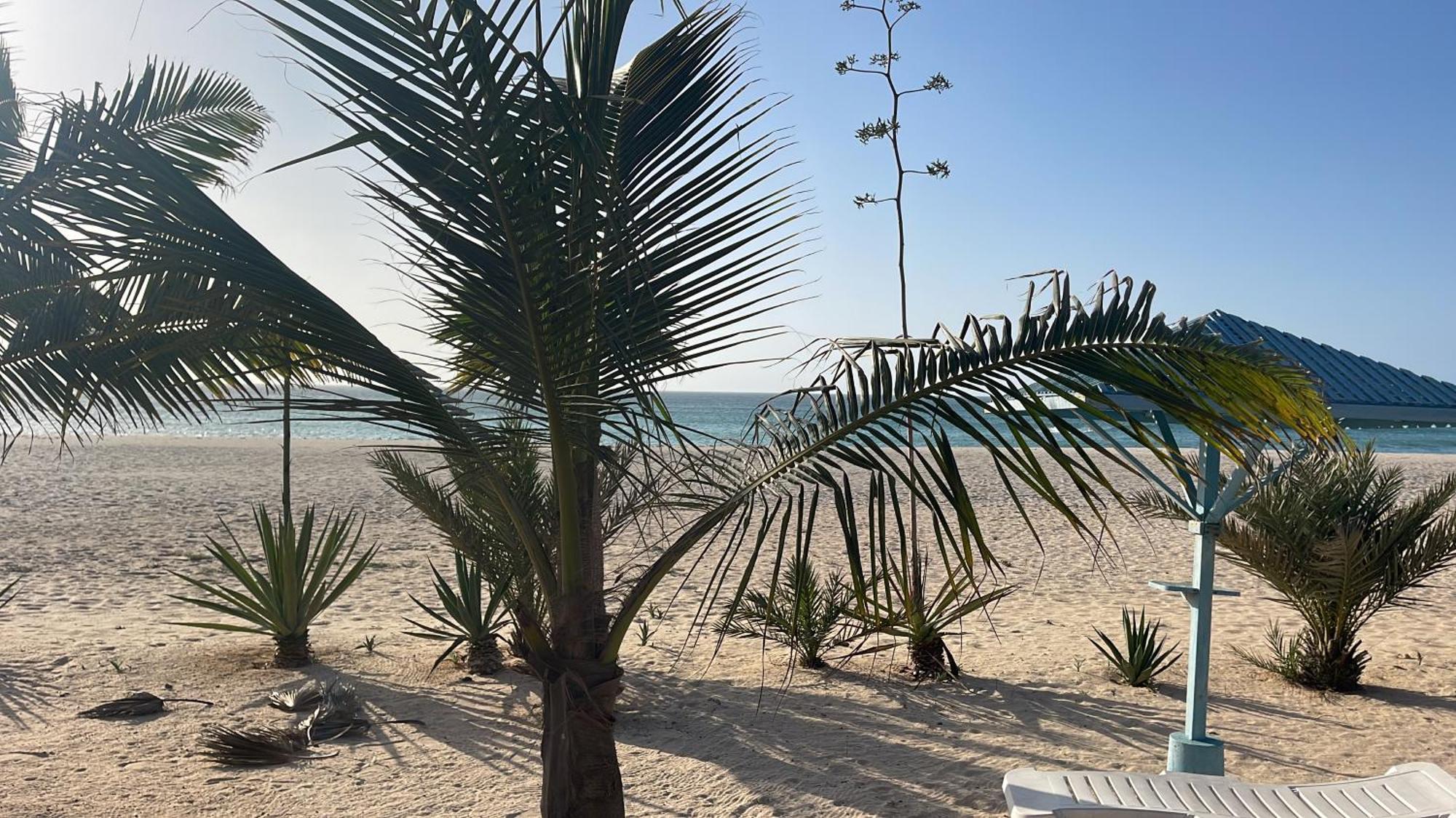 Luxury Beach Villa, Praia De Chaves, Boa Vista Sal Rei Esterno foto